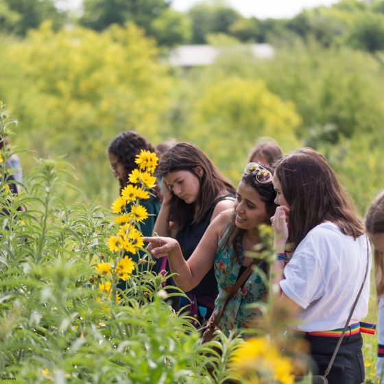 Confluence Park Outdoor Class