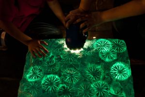 Mark Schlesinger | Up On The On glow